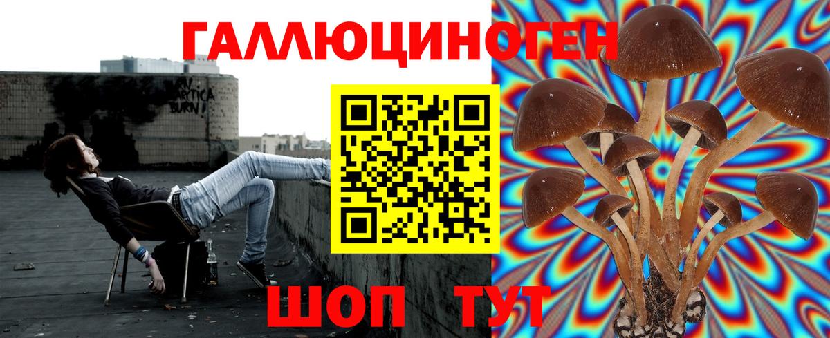 Галлюциногенные грибы ЛСД  Вход с VPN  Нерюнгри  Галлюциногенные грибы MAGIC MUSHROOMS 
